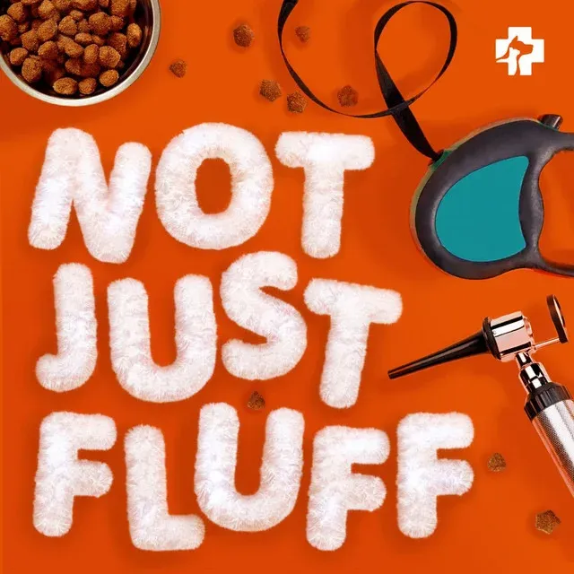 Cover art for the podcast Not Just Fluff, with the title spelled in fluffy white letters among dog kibble, a leash and a veterinary otoscope.
